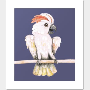 Salmon-crested cockatoo Posters and Art